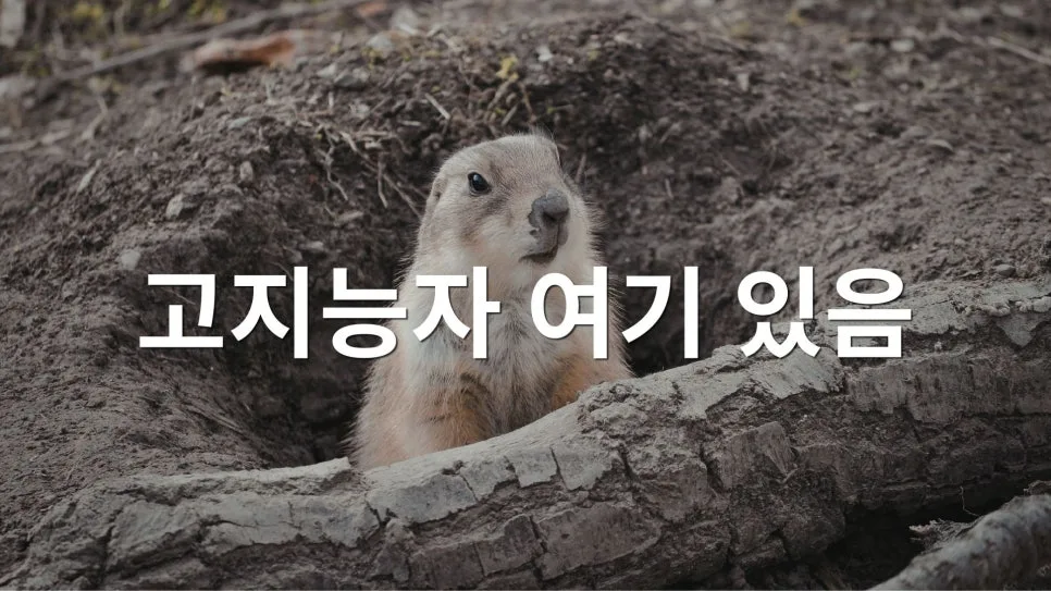 영어 고급인데 회화 안 되는 이유 3가지 2026