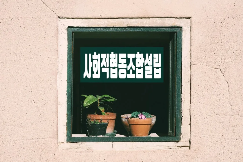 사회적협동조합 설립 조건 및 절차 2026년 총정리