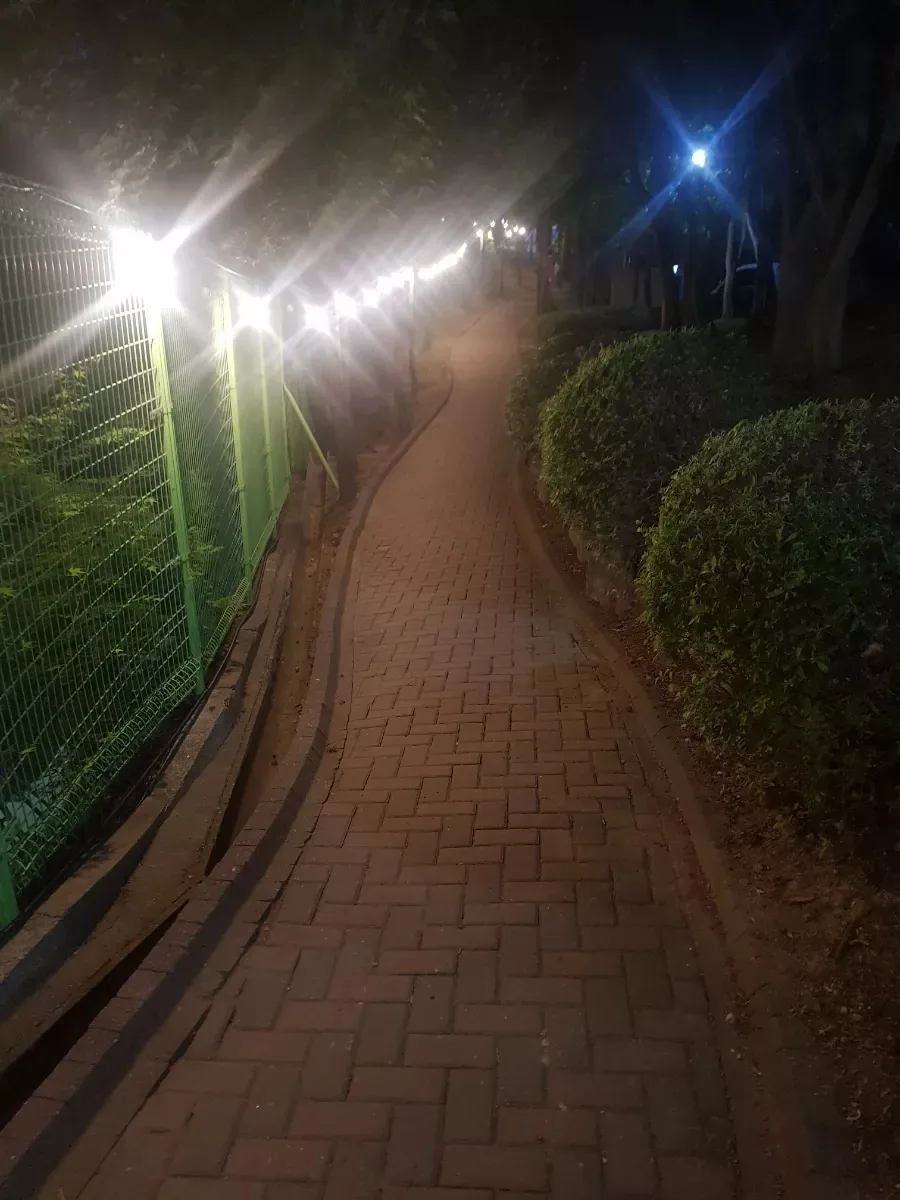 초보 러너 야간 달리기 팁: 2026년 여름 건강 관리법