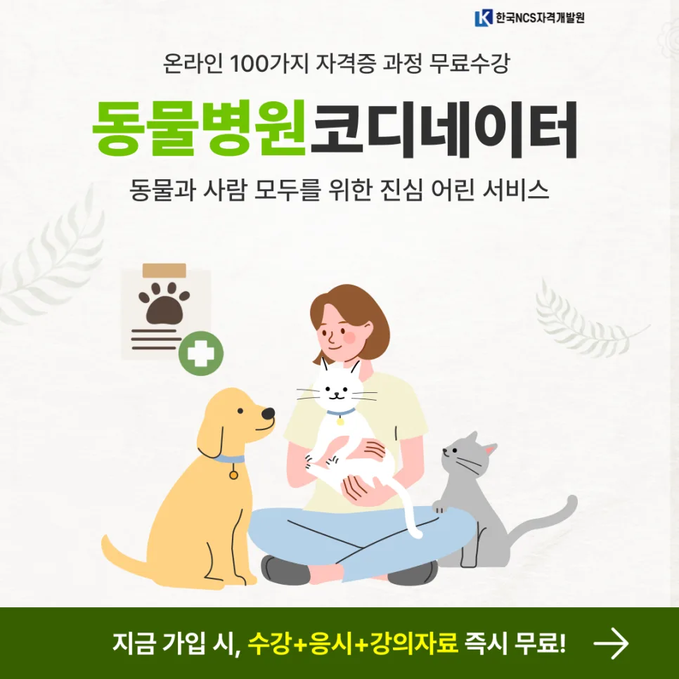 동물병원코디네이터 자격증, 2026년 취득 방법 완벽 정리