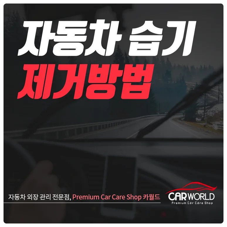 자동차 습기 제거 2026: 시야 확보와 안전운전 위한 5가지 방법