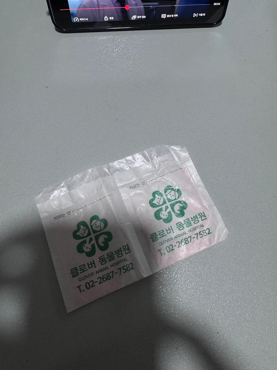 토끼 위장정체 증상과 대처법 2026: 하쿠병원 경험 기반