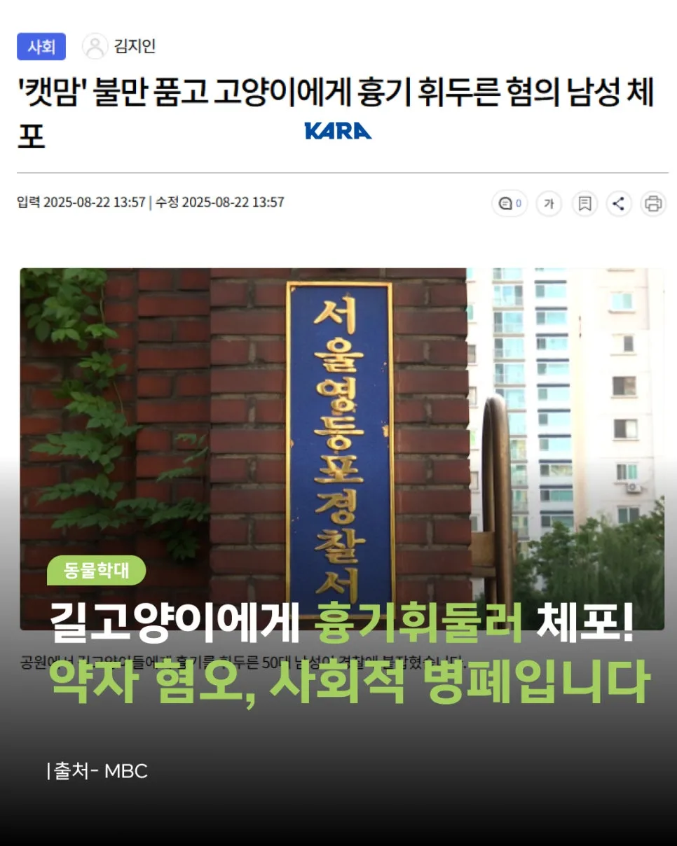 길고양이 학대 사건 2026: 약자 혐오, 어떻게 대처해야 할까?