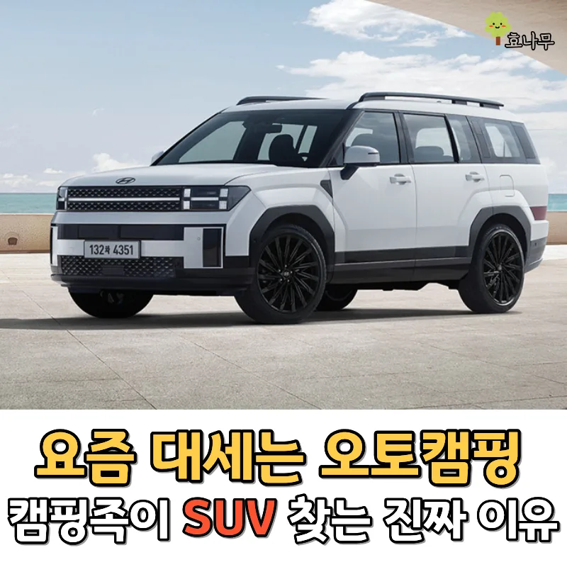 캠핑족이 SUV 선호하는 이유 2026: 차박부터 넉넉한 수납까지