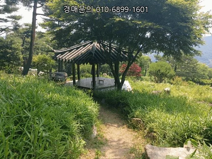 산청 1만평 근린주택 경매, 2026년 5월 45억대 투자 기회 분석 2