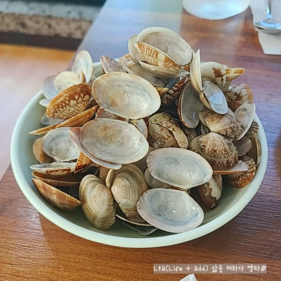 경기도 광주 칼국수 맛집 2026: 황도리 바지락 생칼국수 후기
