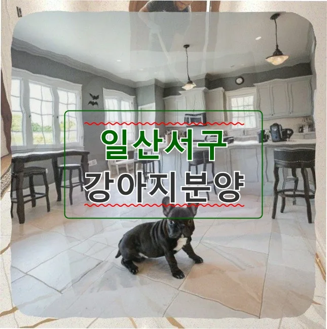 일산서구 강아지 분양 대신 입양 2026년 현실 점검