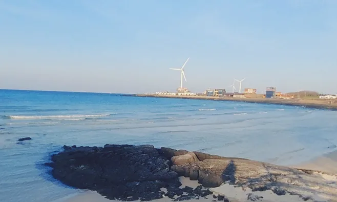 제주 월정리 해변 2026: 풍차와 윤슬, 인생샷 명소 총정리