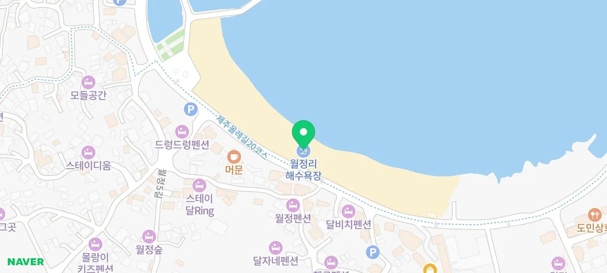 제주 월정리 해변 2026: 풍차와 윤슬, 인생샷 명소 총정리 3