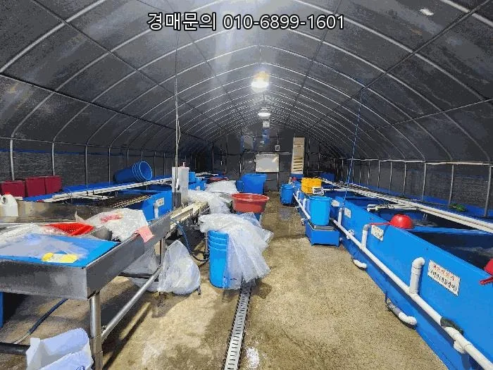 법원경매 유찰 물건, 최저가 투자 기회 2026년 분석