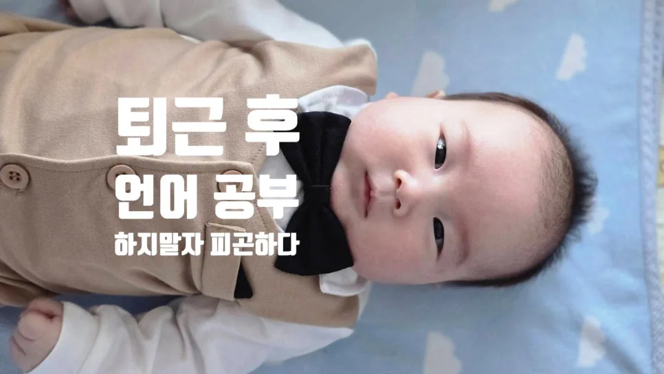 2026년 정부, 이란 50만 달러 지원 결정: 인도네시아어 회화 핵심 정리