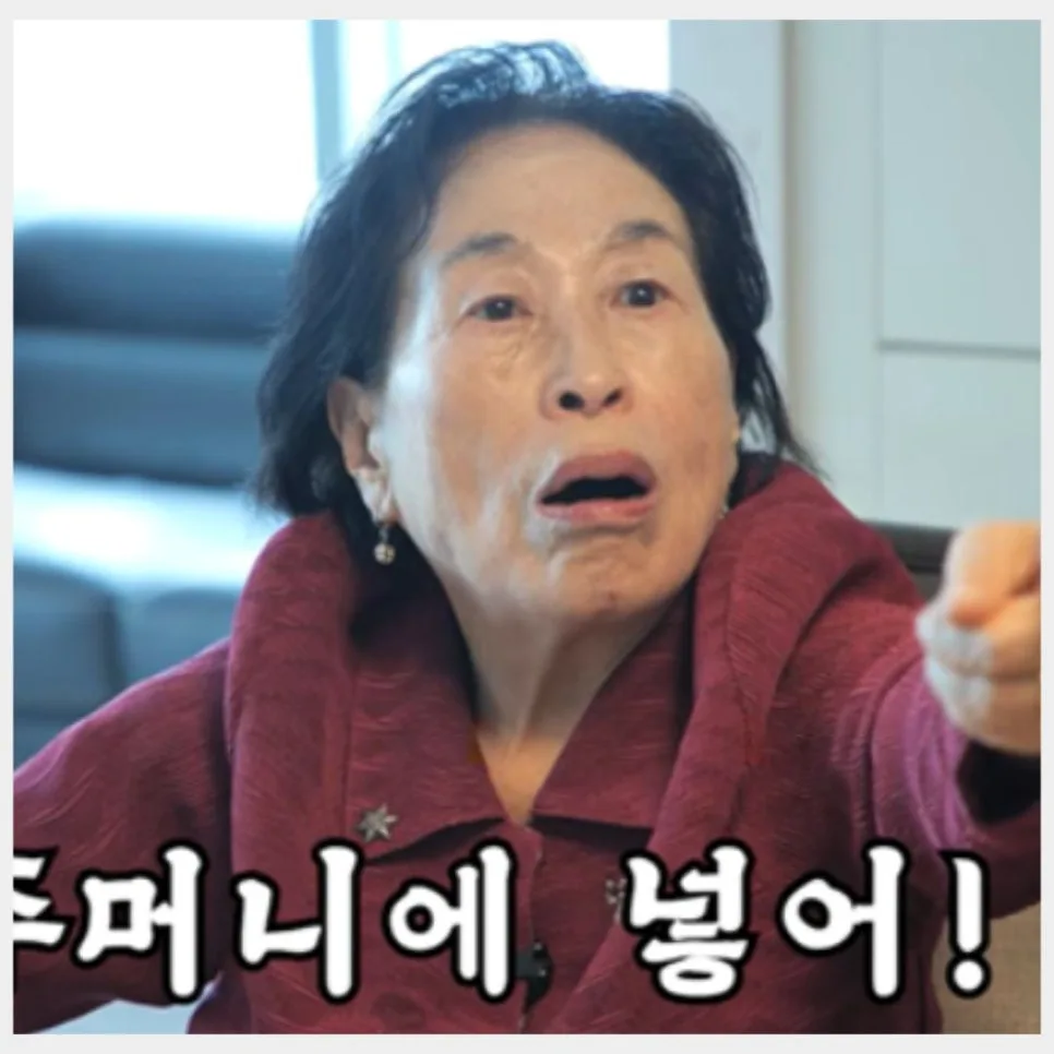 전원주 하이닉스 2만 원 투자 비결 2026: 600% 수익률과 나눔의 지혜