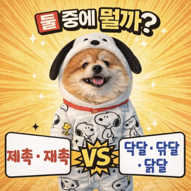 재촉 vs 제촉, 닦달 vs 닥달/닭달: 2026년 맞춤법 정복 가이드