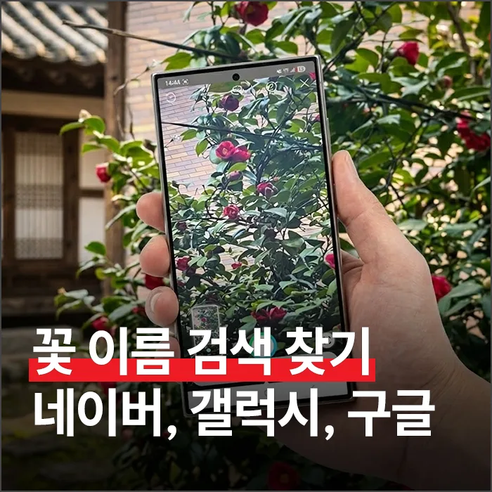 꽃 이름 찾는 AI 도구 2026: 네이버·갤럭시·구글 앱 활용법