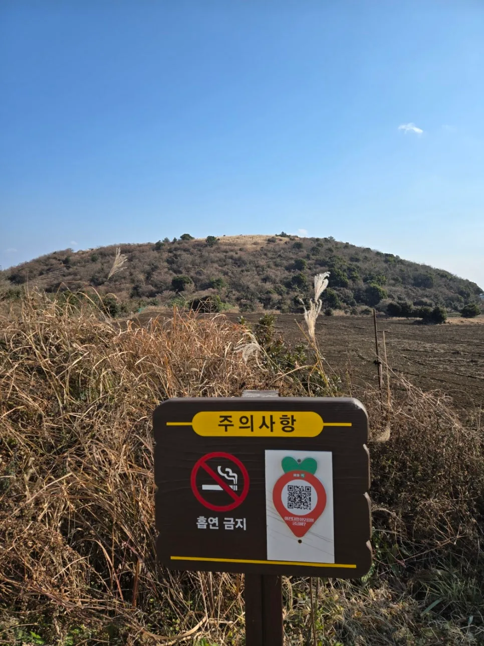 다랑쉬 오름 등반 후기: 부모님 추억 따라 걷는 제주 힐링 코스 2026 2