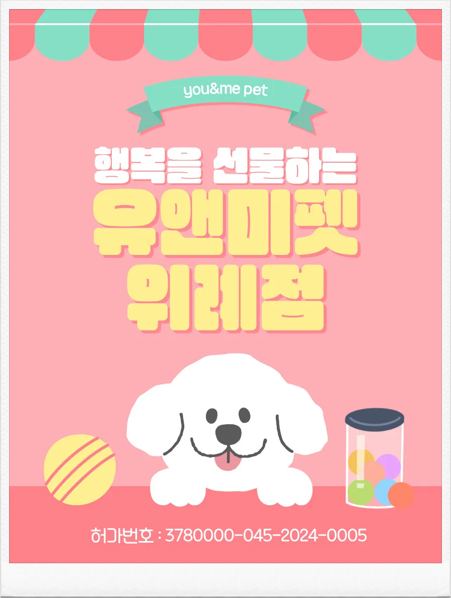 양양 강아지 분양, 믿을 수 있는 곳 찾는 법 2026