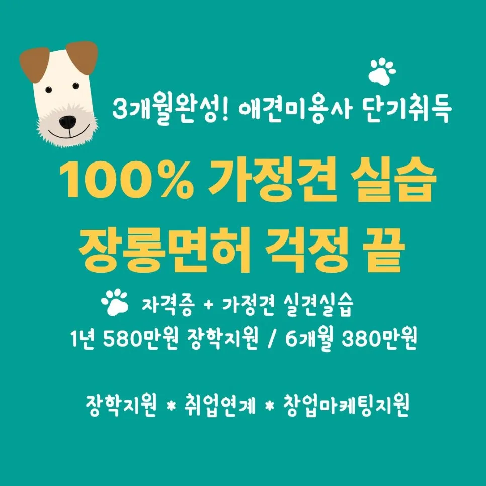 애견미용 자격증 3개월 완성? 실견 실습 학원 비교 2026
