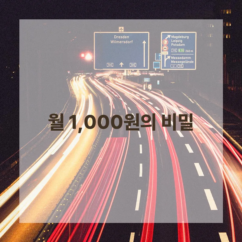 월 1,000원으로 온라인 영토 확장하는 법 2026 2