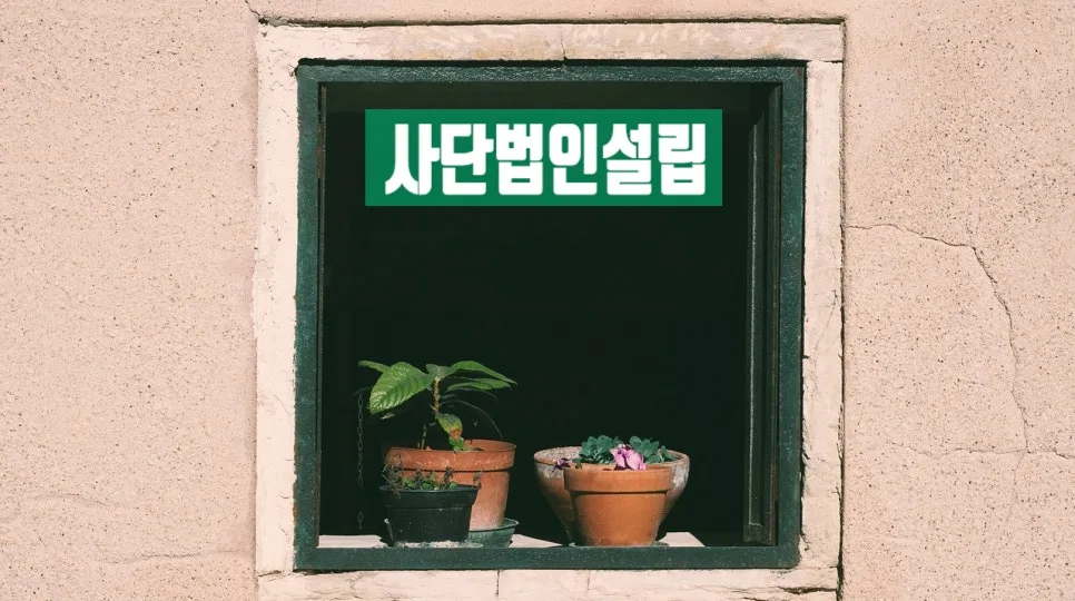 사단법인 설립 허가, 주무관청 서류 작성 완벽 가이드 2026