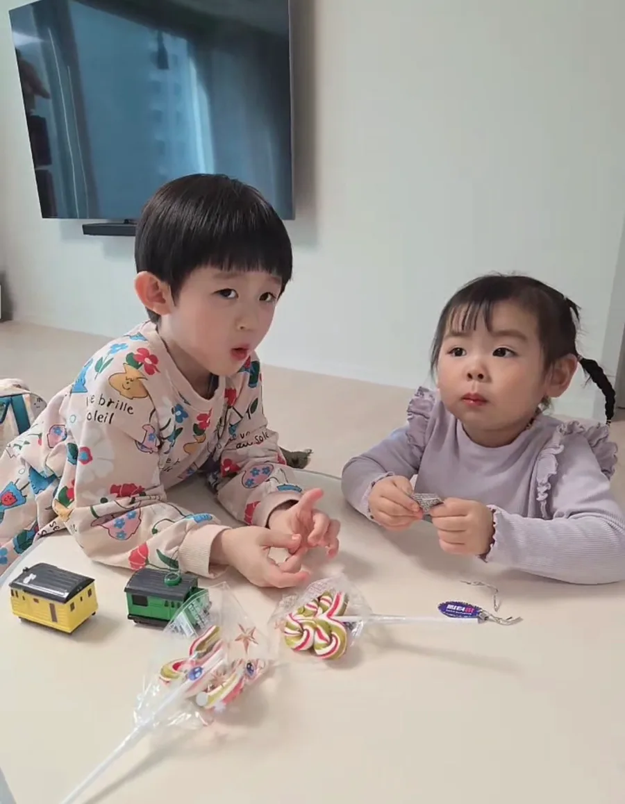 2026년 3-4월 벚꽃 시즌, 일상 속 특별한 순간들 총정리