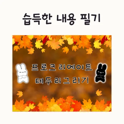 프로크리에이트 테두리 만들기 & 사이즈 일괄 변경 2026년 완벽 가이드