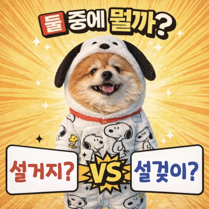 설거지 vs 설겆이, 2026년 표준어 맞춤법 완벽 정리