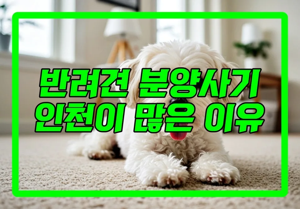 인천 반려견 분양 사기 유형별 대처법 2026