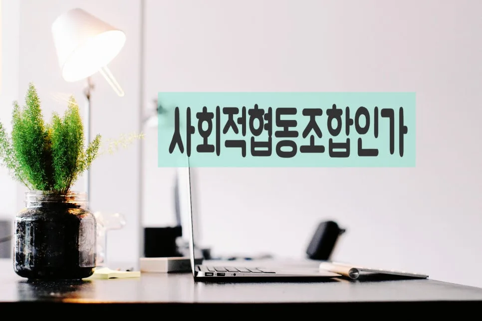 지역사업형 사회적협동조합 설립 절차 2026년 총정리