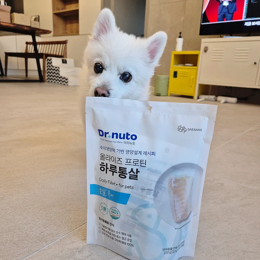 강아지 북어 간식 닥터뉴토, 노령견 위한 영양 간식 2026 2