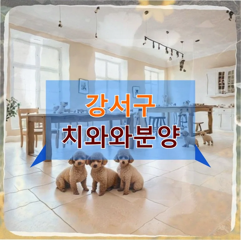 34세 직장인 치와와 분양 후기: 비용, 조건, 주의사항 2026