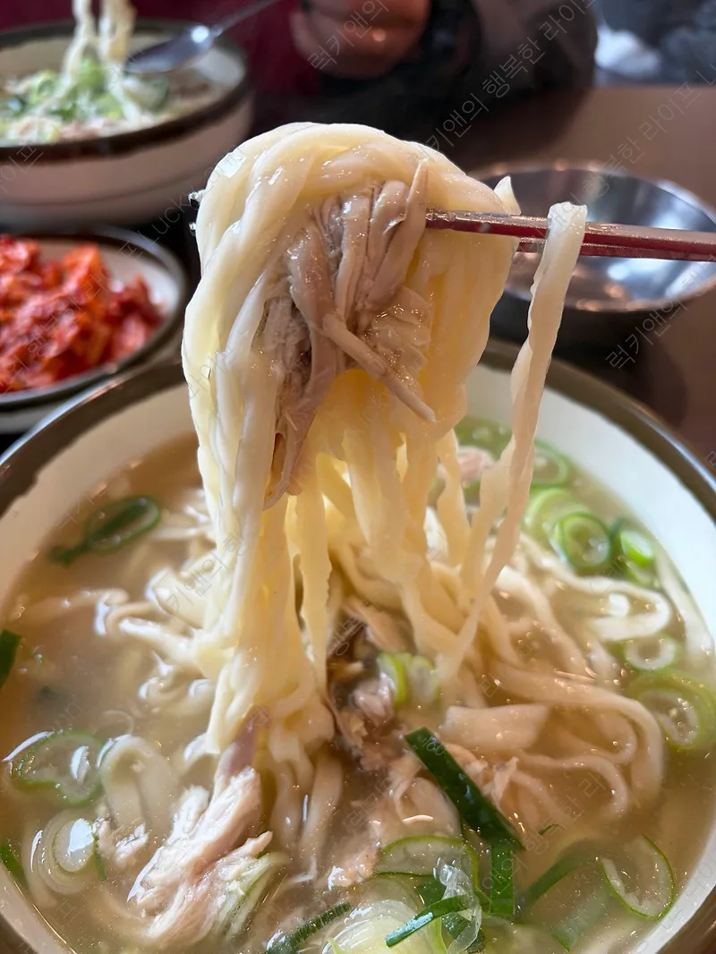 일산 칼국수 본점 2026: 40년 전통 닭칼국수 웨이팅 이유 분석