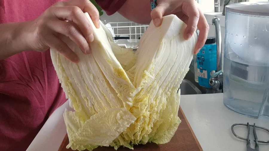 배추 1포기로 맛있는 김치 담그는 비법 2026
