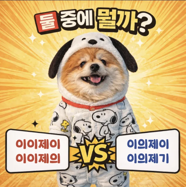 이이제이 vs 이의제기: 2026년, 헷갈리는 맞춤법 완벽 정리