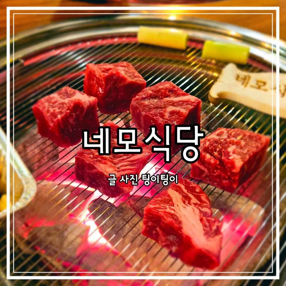 파주 소고기 맛집 네모식당: 2026년 등심·갈비살 육즙 비교 분석