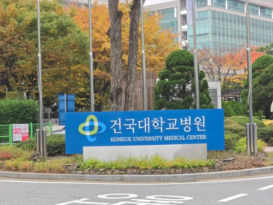 2026년 서울 병원 환자 이송, 광주 대형택시로 편안하게 귀가하는 법