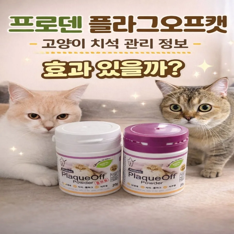 고양이 치석 관리, 프로덴 플라그오프캣 효과와 사용법 2026년 총정리