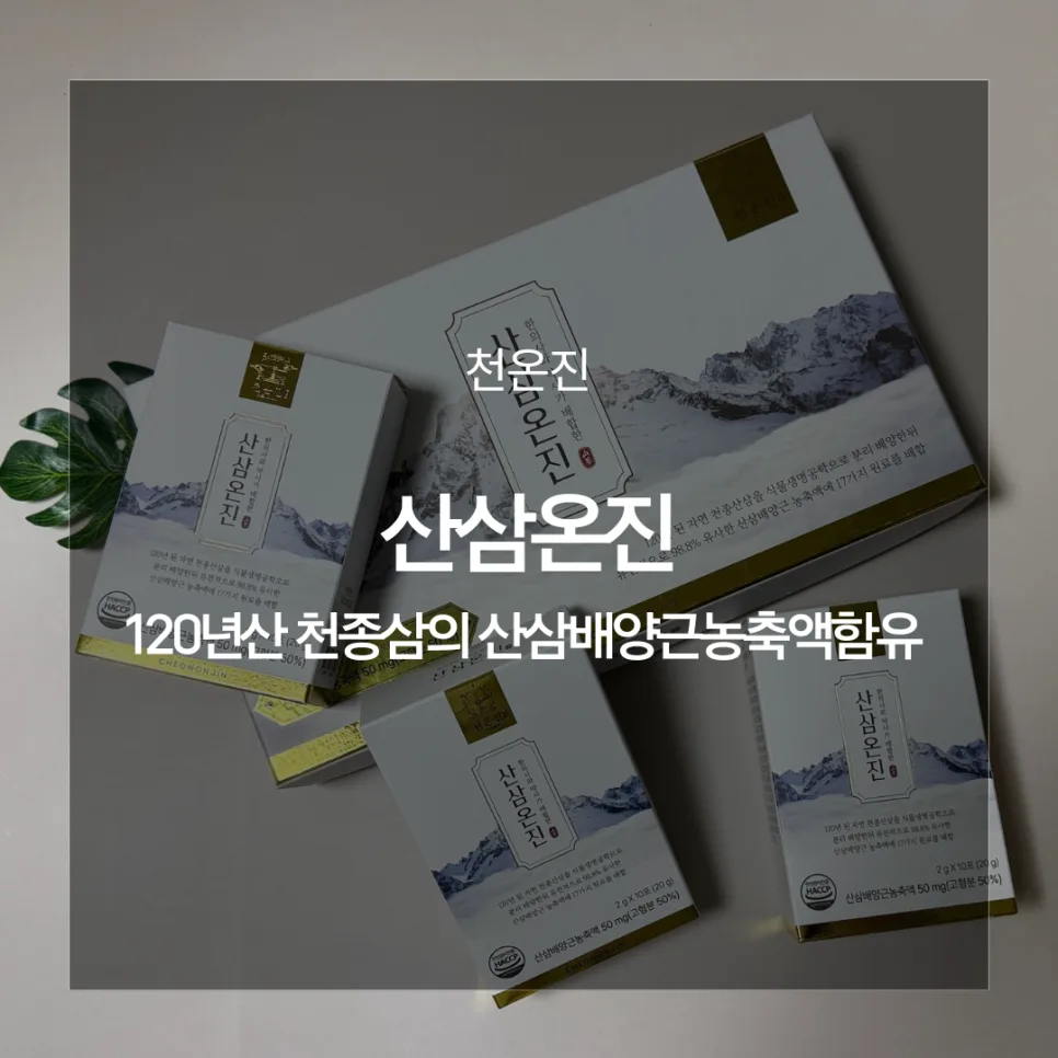 산삼온진 후기: 만성피로 회복 돕는 영양제 2026년 최신 정보
