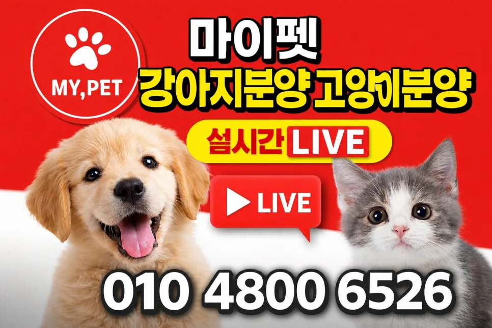 2026년 경산 반려동물 분양: 라이브 비교로 똑똑하게 선택하는 법