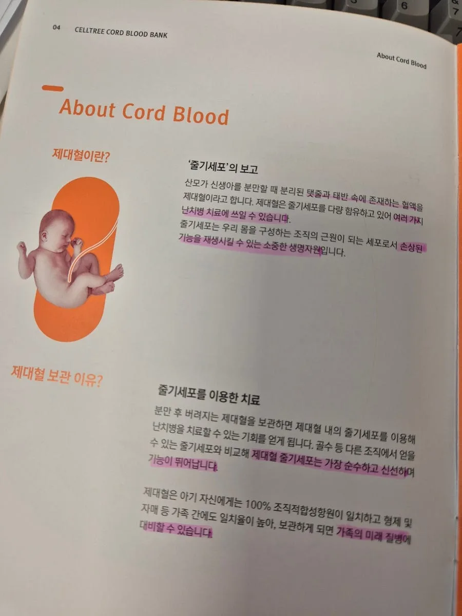 제대혈 보관, 2026년까지 고민해야 할 이유와 비용 총정리
