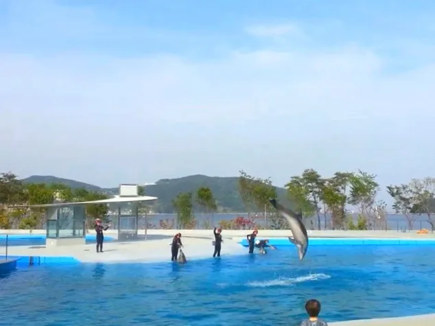 초등 스피치 줌수업 2026: 여름방학 집중 특강 완벽 분석