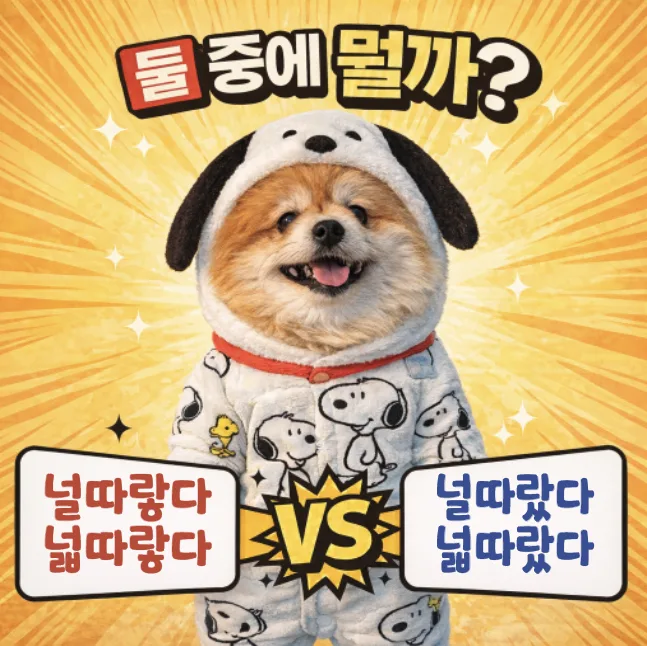 널따랗다 vs 넓다랗다: 2026년 올바른 맞춤법 총정리