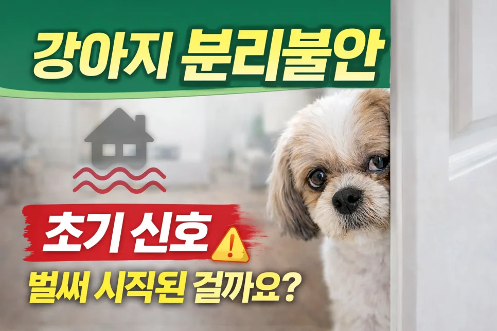 강아지 분리불안 초기 증상 5가지와 대처법 2026