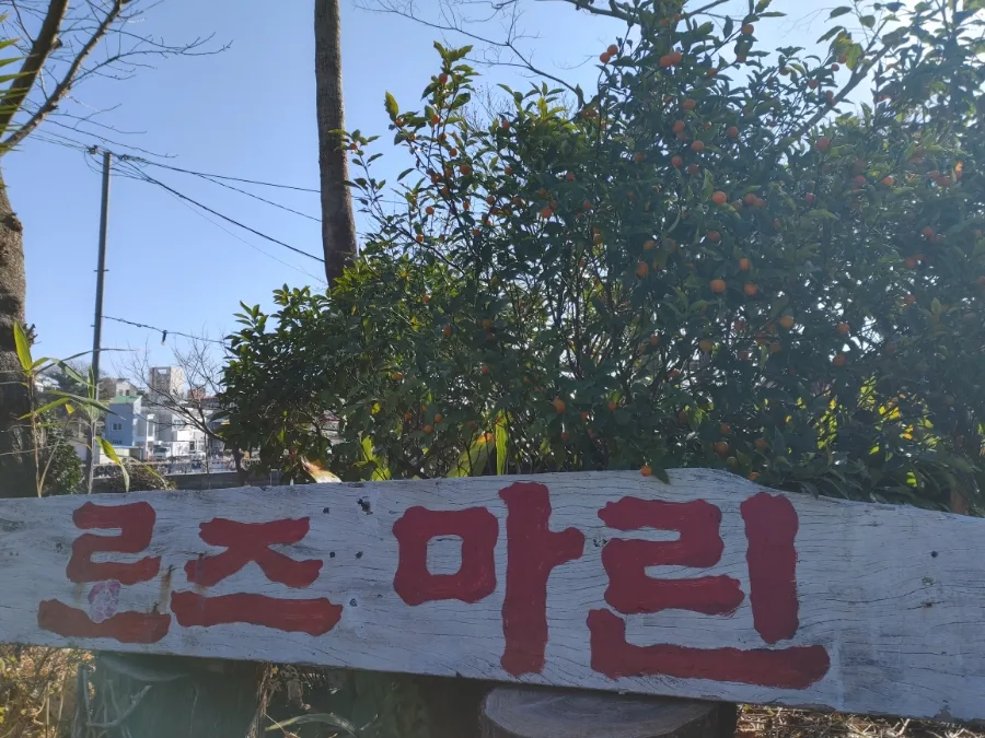 제주 이중섭 거리 2026: 화가 삶과 예술이 겹쳐진 문화 탐방