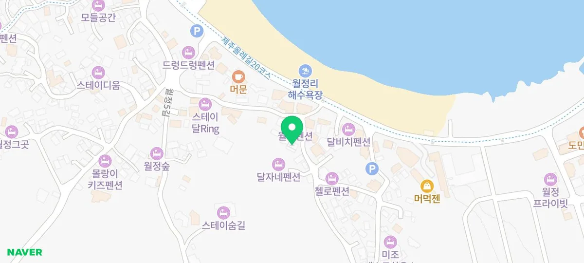 제주도 애견 분양, 후회 없는 선택 위한 3가지 기준 (2026) 2