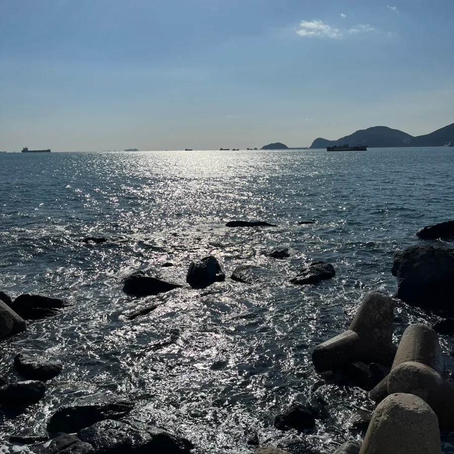 도수치료 관리급여 2026년 변화 예측: 환자·치료사 영향 분석