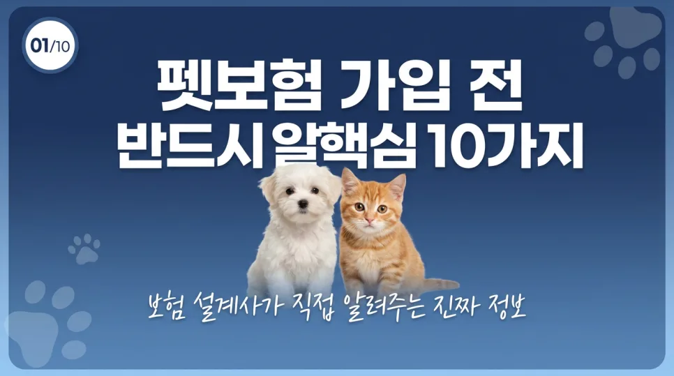 2026년 펫보험 제휴 혜택, 반려견 용품 할인보다 중요한 것은?