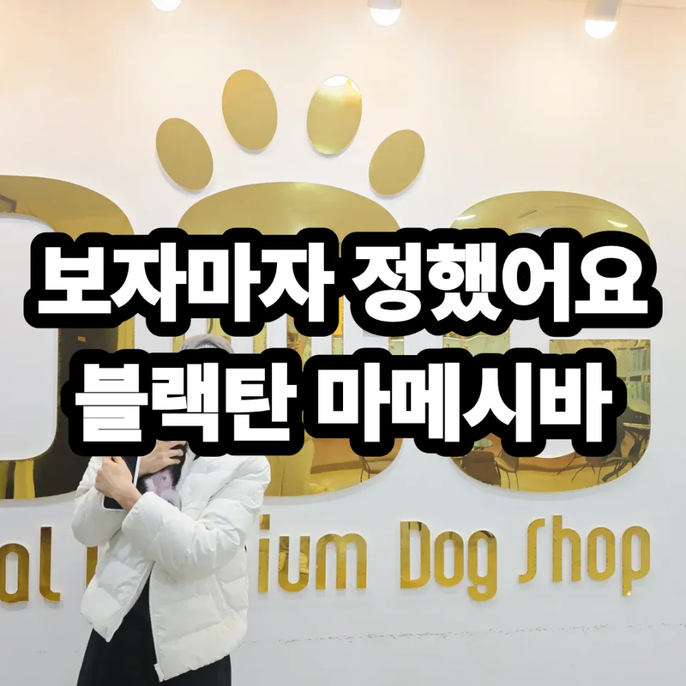 Black Tan Shiba Inu Puppy Adoption 2026: Your Essential Checklist