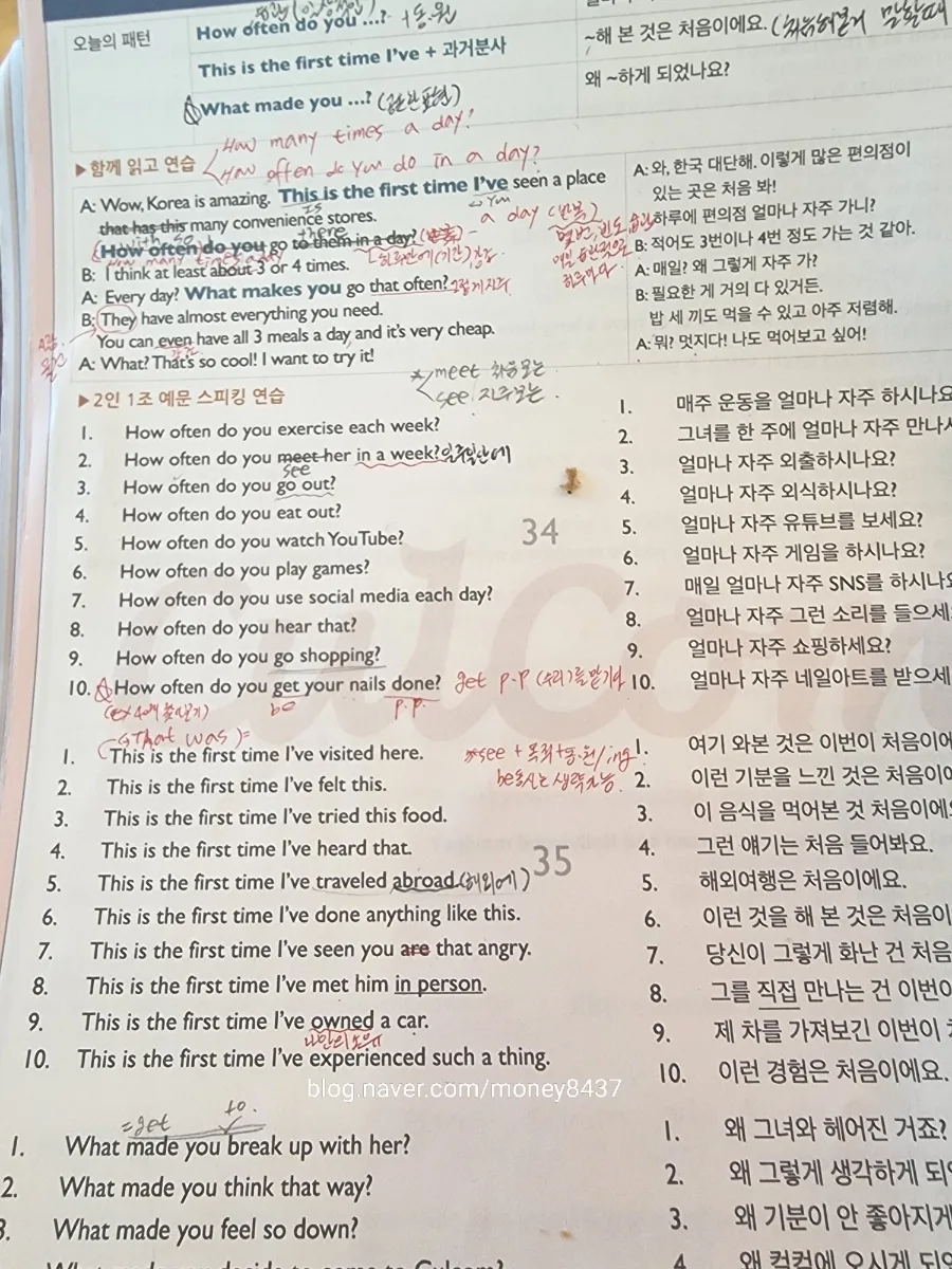 반려견과 영어 공부 병행 2026: 집사의 똑똑한 시간 관리법 2