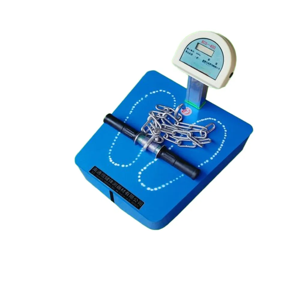 Back Strength Tester: Boost Your Fitness in 2026
