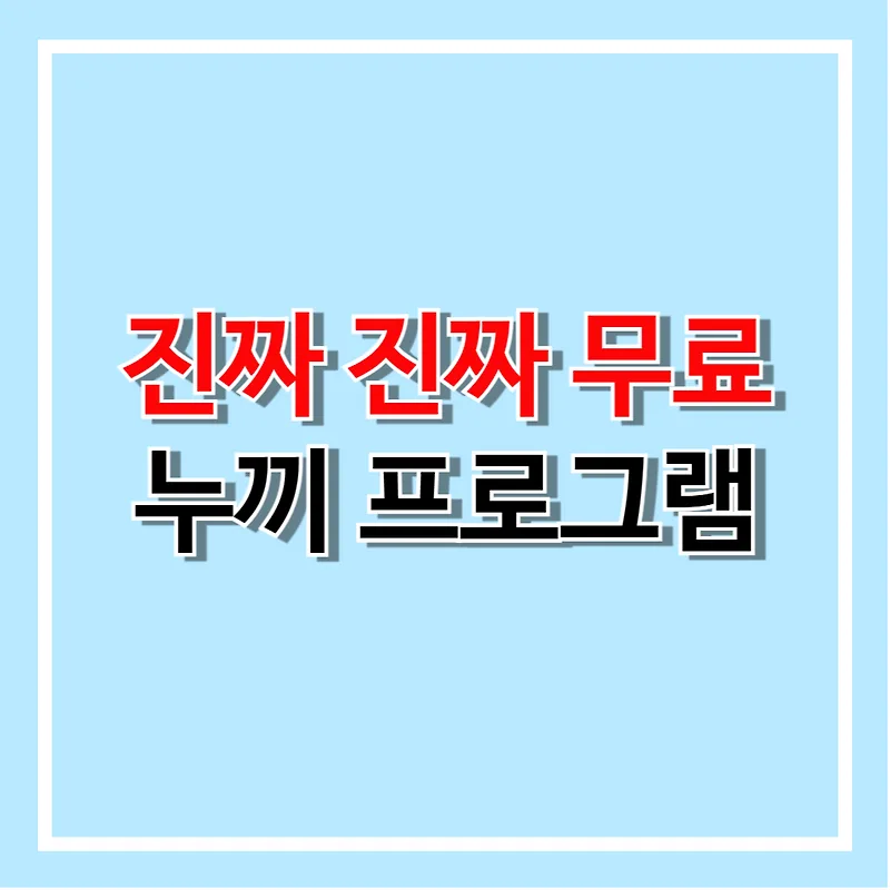 remove.bg 대체 무료 누끼 툴 3가지 비교 분석 (2025년)
